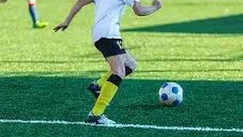 大发彩票 产品 085249 b50