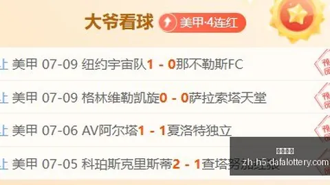 大发彩票 073238